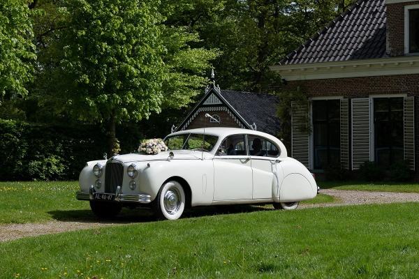 Jaguar MK 7 – 1954